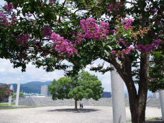 8月