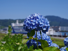 6月