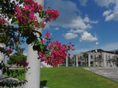 8月