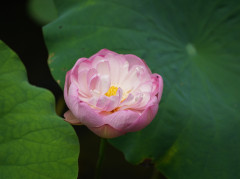 7月