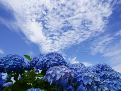 5月
