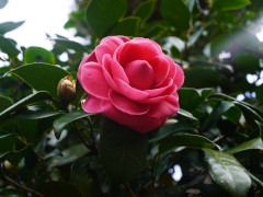 2月