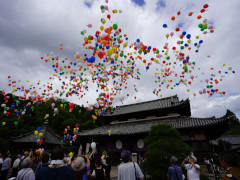 8月